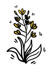 canola design element and icon in linear style - rapeseed oil - healthy vegan food