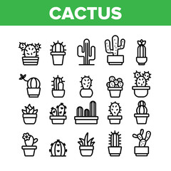 Cactus Domestic Plant Collection Icons Set Vector Thin Line. Different Cactus And Succulent With Thorn, Spike And Flower Concept Linear Pictograms. Houseplants Monochrome Contour Illustrations