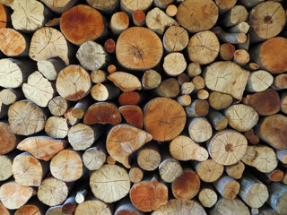 woodpile texture
