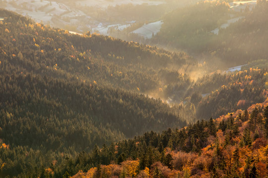 Gorce - Carpathians Mountains 