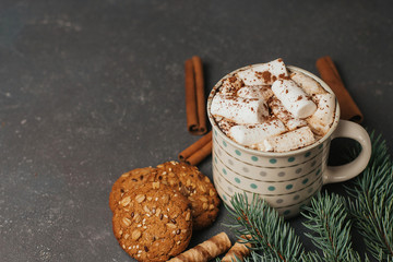 Cup of coffee or cocoa with marshmallows, branches of a Christmas tree, cinnamon and sweets on a dark gray background with space for text