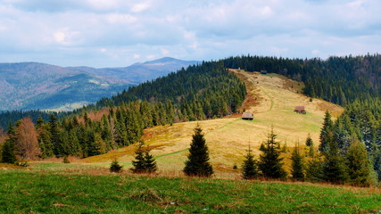 Gorce - Carpathians Mountains 