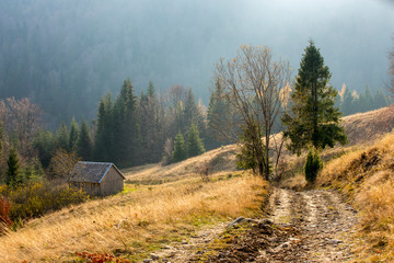 Gorce - Carpathians Mountains  © BARONPHOTOGRAPHY.EU