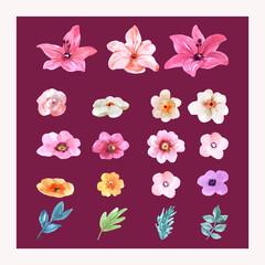 isolated set watercolor flowers for Illustration