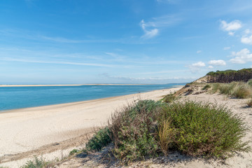 Fototapeta na wymiar BASSIN D'ARCACHON (France), banc d'Arguin, dune du Pilat et plage du Petit Nice