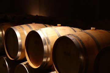 Fässer im Weinkeller