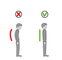 Correct alignment of human body in standing posture for good personality and healthy of spine and bone. Health care and medical illustration