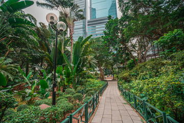 Green plants in Hong Kong city 