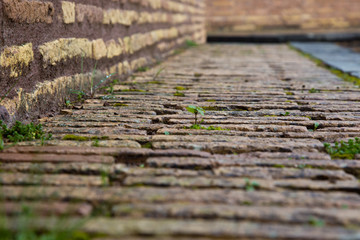 Ancient brickwork in the Castle of St. angel. Selective focus. Close up. Rome, Italy