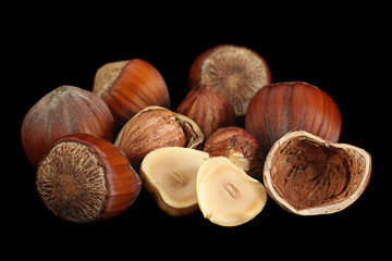 Hazelnut nut closeup on black