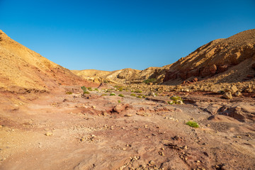 road in the desert