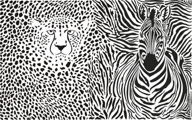 Zebra and cheetah and pattern