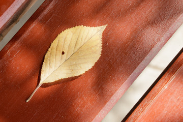 Autumn yellow leaf with a hole lies on a wooden painted red-brown shady bench.