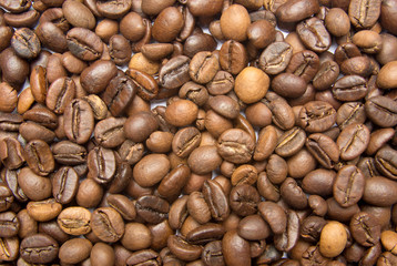 Coffee beans as a natural background or texture.