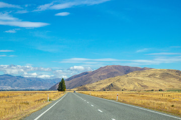asphalt road through Canterbury region of New Zealand