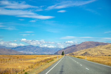 asphalt road through Canterbury region of New Zealand