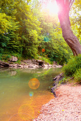 A Creek in the colorful seasonal forest with sun flares in Bowling Green, Kentucky USA
