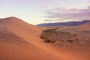 Sand dunes mountain before sunrise morning over soft sky at Death Valley National Park, USA