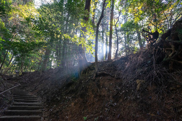 Obraz premium 山道