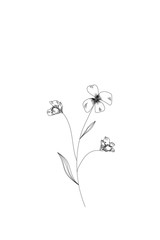 flowers, meadow flower line expand icon on white background
