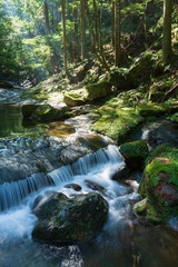 渓流に差し込む光