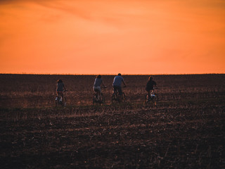 Biker on field by sunset.