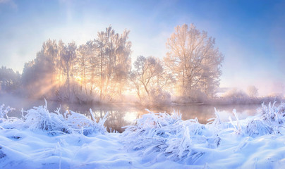 Winter landscape. Winter frosty nature in the morning sunlight. Trees and plants covered by hoarfrost. Mist over river illuminated by sun