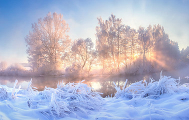 Winter nature landscape. Frosty trees on river side. Winter morning sunrise. Amazing plants covered...