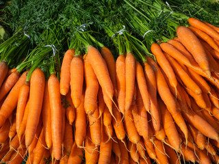 Market stall with fresh organic carrots on the farmer´s market outdoors in the city of Karlsruhe in southern Germany 