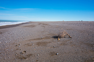 Birdlings Flat Beach