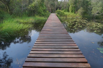 Fototapeta premium wooden bridge in forest
