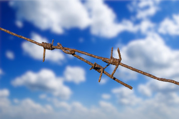 closeup old rusty barbed wire on a blue cloudy sky,  military war background