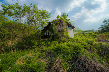 廃屋