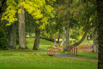 Swedish park in autumn colors - 292531507