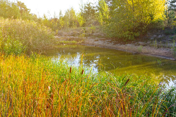 small beautiful lake in a forest at the sunset, evening outdoor scene