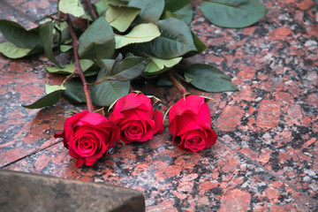 Three red roses on a marble memorial plate.