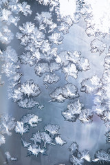 Frosty patterns on a winter window in cold colors.