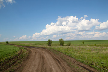 Spring village road passing through fields lit by the bright sun.