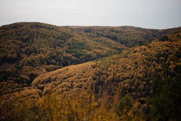 beautiful landscape of Siberian mountains