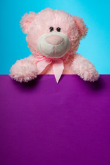 Cute teddy bear pink on color background with copy space
