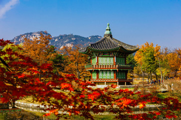 Fototapeta premium Autumn season of Gyeongbokgung Palace in Seoul,South Korea.