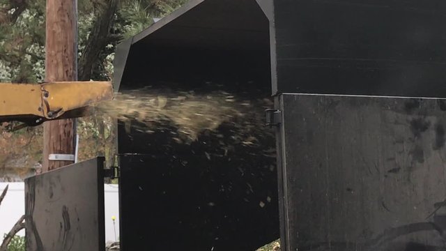 Pulverized wood chips are being shot from a brush chopper machine chute into an enclosed catch truck