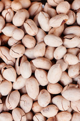 Close-up background of inshell pecans