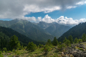 Fototapeta na wymiar Landscape in the Eastern Sayan Mountains