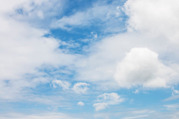 The soft white cloud in the sky.