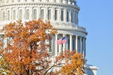 U.S. Capitol Building in autumn foliage - Washington D.C. United States of America