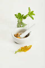 mortar and pestle with herbal mix near goldenrod twig and glass with fresh mint on white background