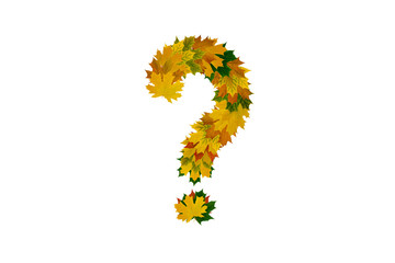 Question mark from autumn maple leaves isolated on white background. Alphabet from green, yellow and orange leaves