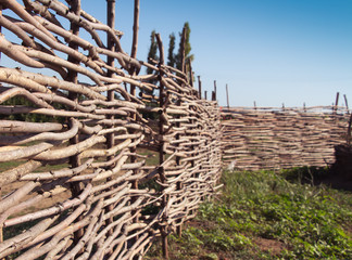 Wicker fence made of flexible wood (willow or hazel). The texture of the trunk of a natural tree. The concept of suburban life.