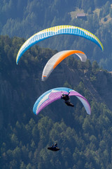 Paraglider in südtirol